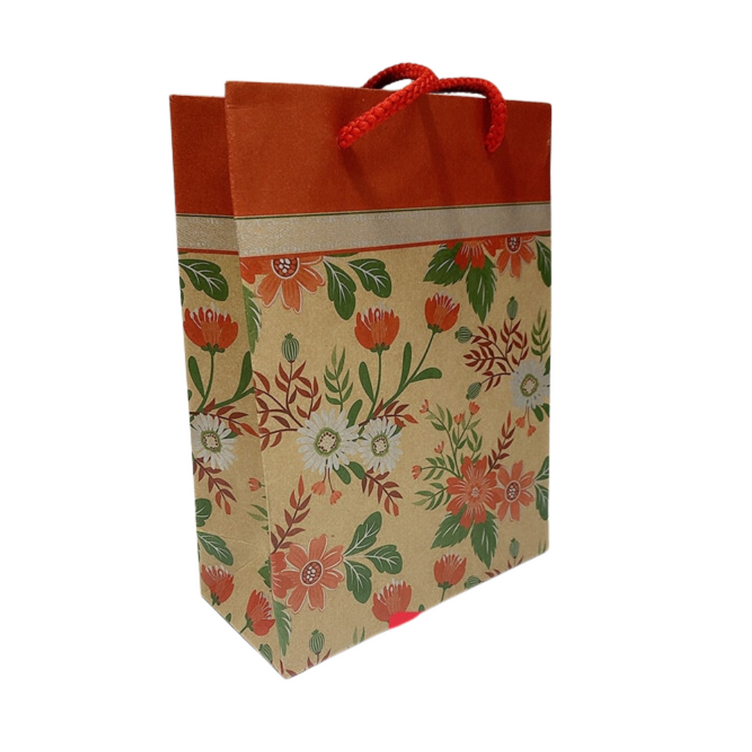 Túi giấy 2 (29x40) (Lốc 10 cái) (H)  (Cái)